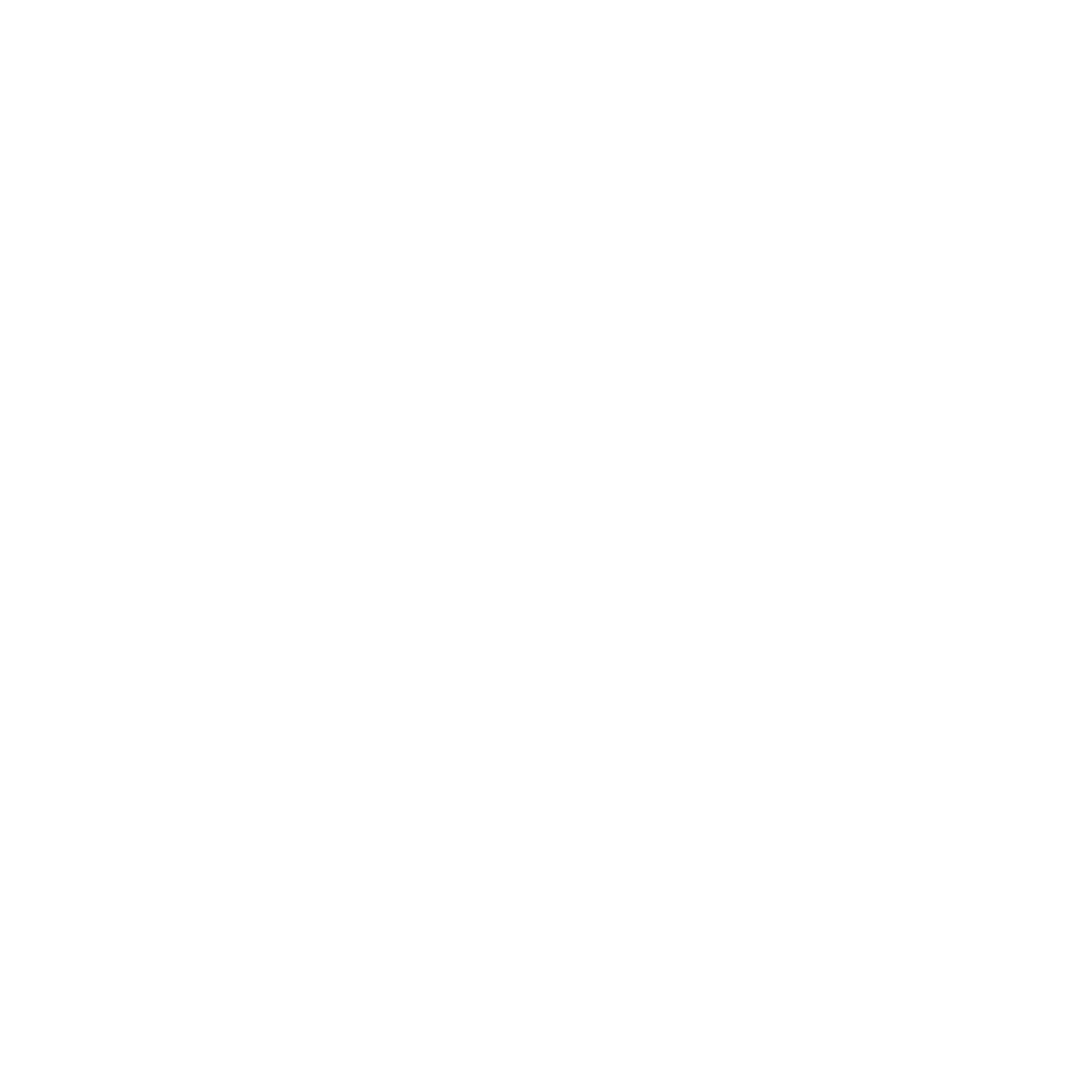 Logo EFFE blanc